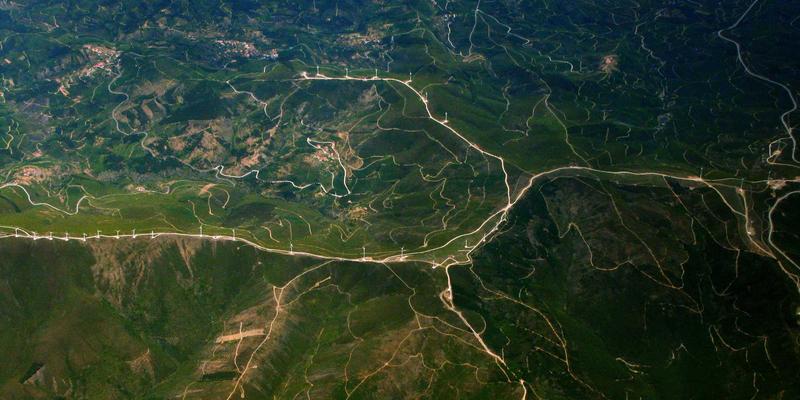 从生活灵感到艺术涂鸦：社群花园共建如何重塑邻里绿色生活方式