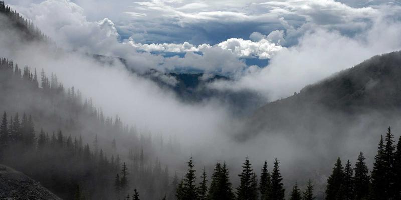 创意分享：艺术涂鸦如何成为点亮日常的生活灵感