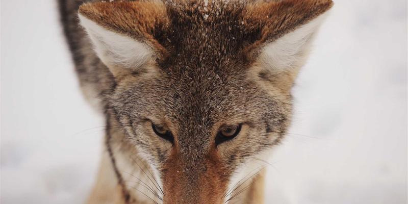 创意生活与艺术涂鸦：重新定义现代生活方式的40种可能