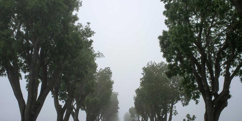 创意生活灵感：遵循自然节律的季节性生活法全年规划