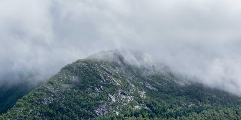 当生活灵感遇见田间餐桌：社群支持型农业如何成为一场日常美学的艺术涂鸦