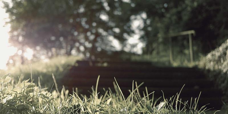 微冒险生活：在街头艺术与日常角落中寻找创意分享与生活灵感