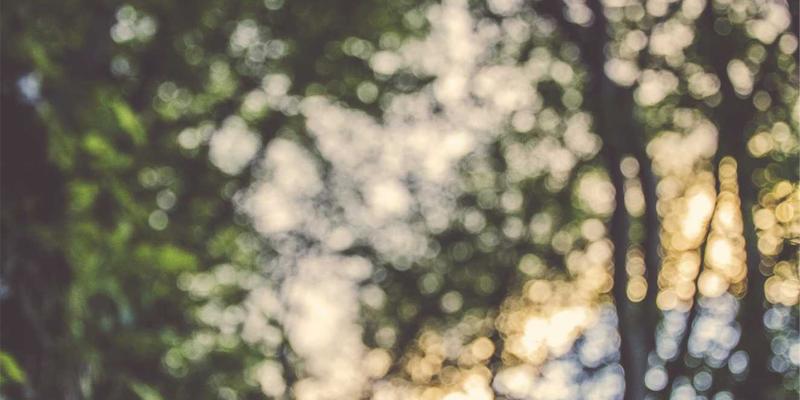 日常美学与创意涂鸦：将艺术融入生活的三个最佳实践