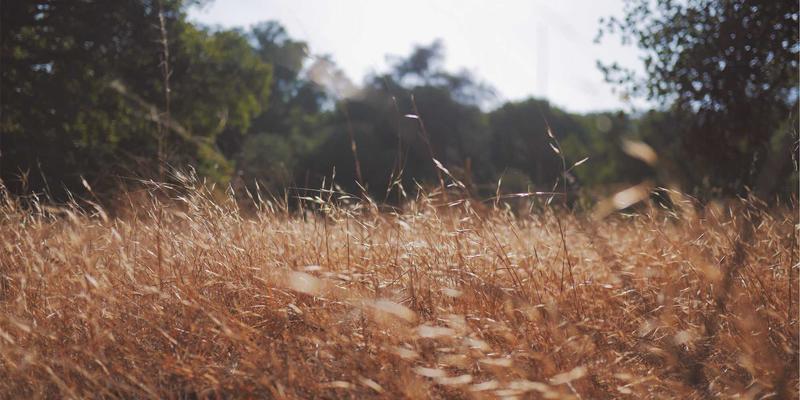 日常美学与艺术涂鸦：三个创意技巧点亮你的生活方式