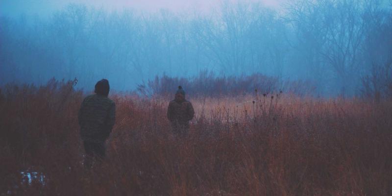 日常美学：在平凡日常中，发现生活灵感与创意生活的艺术