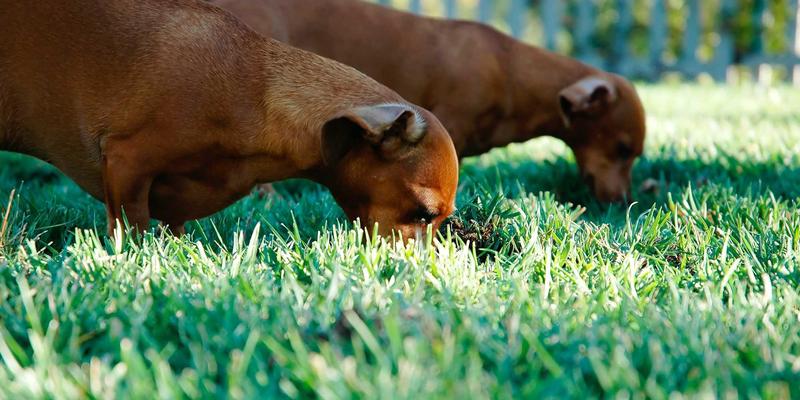 日常美学：在艺术涂鸦与生活灵感中，重塑你的生活方式84