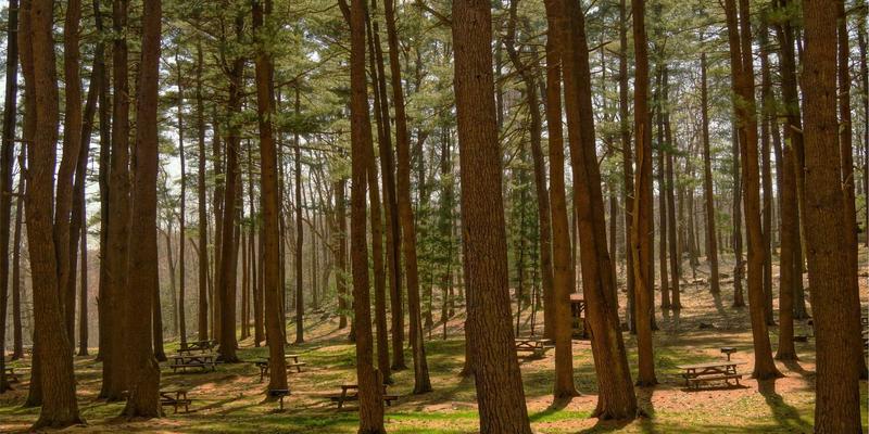 生活方式66：在创意分享与艺术涂鸦中，激活你的日常灵感