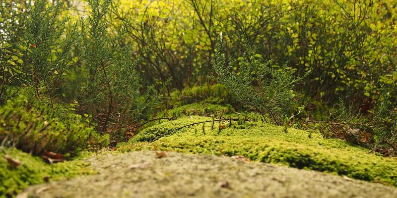 生活灵感×艺术涂鸦：3个创意支点，重构你的生活方式60