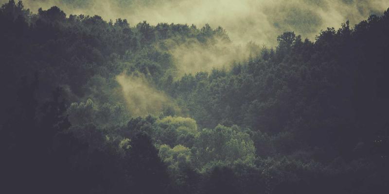 睡眠环境优化：用艺术涂鸦与创意分享唤醒生活灵感的科学指南