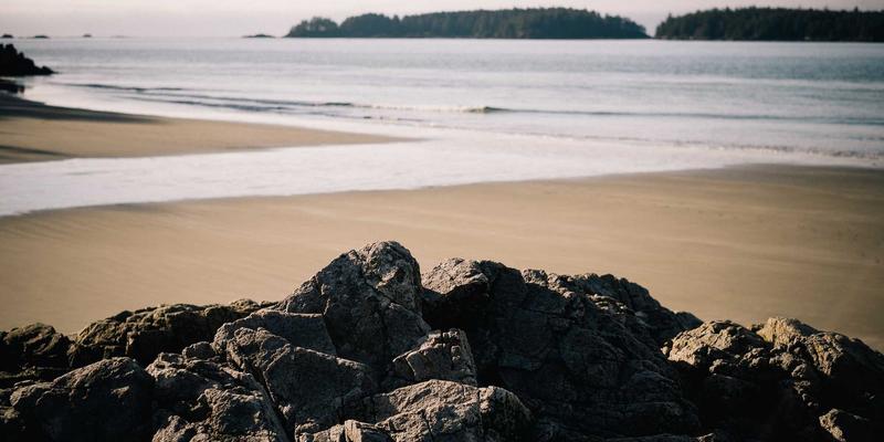 艺术涂鸦与日常美学：在社区共享生活中重塑创意邻里关系