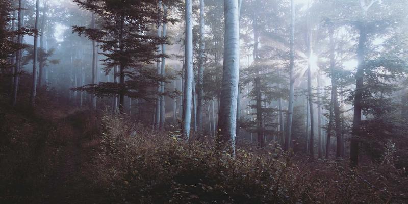 艺术涂鸦与生活灵感：在快节奏城市中构建创意缓冲空间的慢生活实践指南