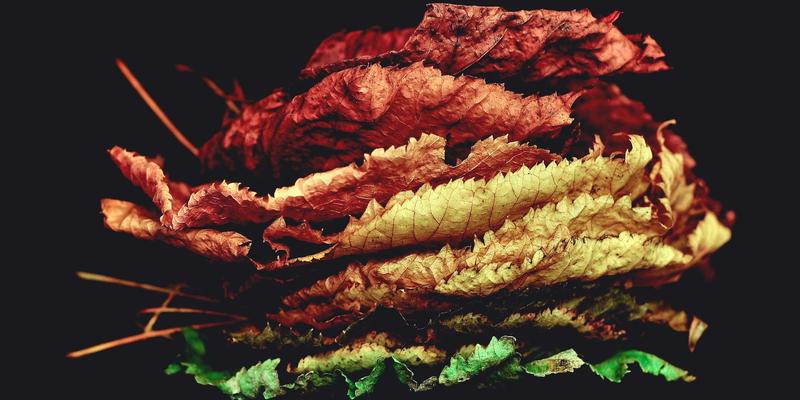 艺术涂鸦：唤醒日常的创意密码，让生活灵感触手可及